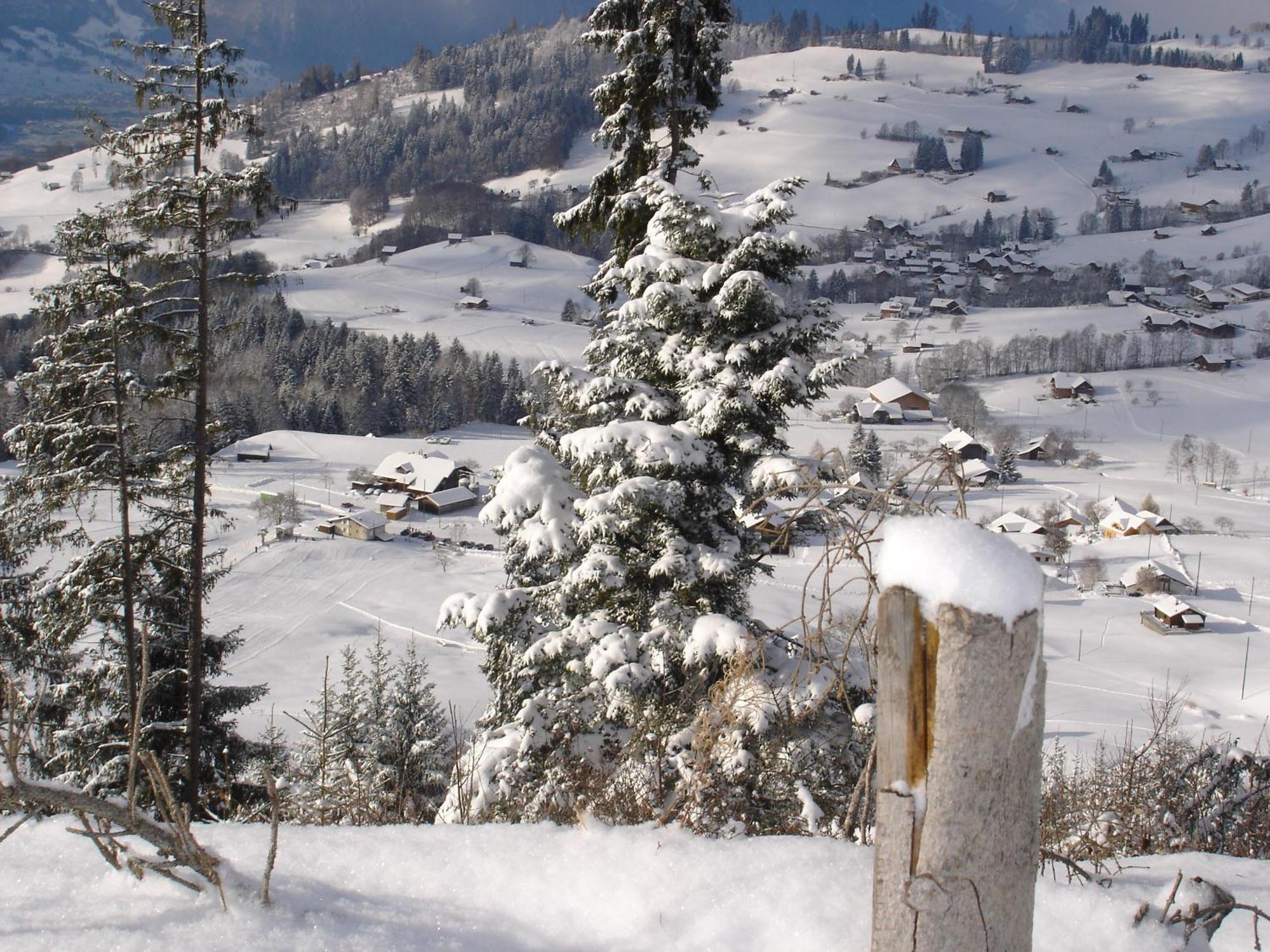 Chalet Sunneschyn *